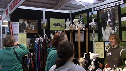 Love pets stand